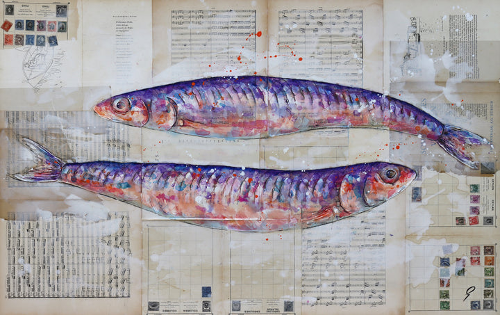 Anchovy Colour by Giles Ward