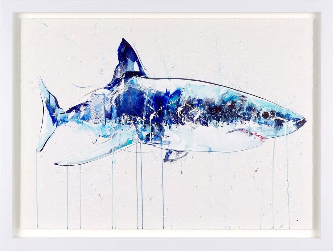 A Dave White limited edition piece of a blue shark, the title is Great White