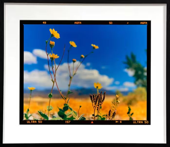 A framed limited edition photograph by Richard Heeps using vibrant colours, the title is Hell&