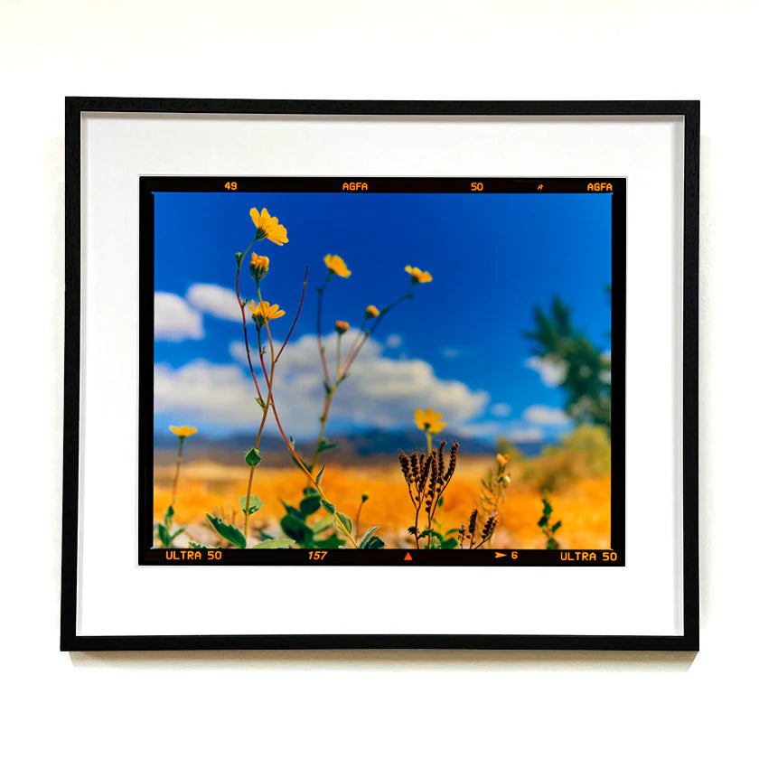 Hell's Gate (Film Rebate), Death Valley, California, 2000 by Richard Heeps
