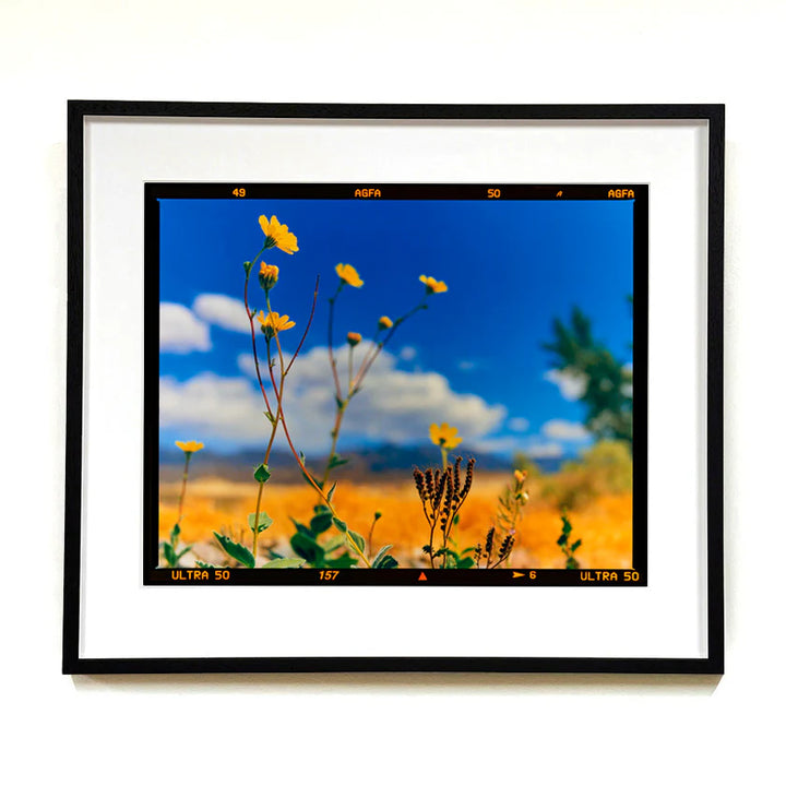 Hell's Gate (Film Rebate), Death Valley, California, 2000 by Richard Heeps