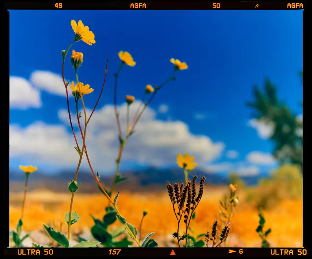 A limited edition photograph by Richard Heeps using vibrant colours, the title is Hell's Gate (Film Rebate), Death Valley, California, 2000