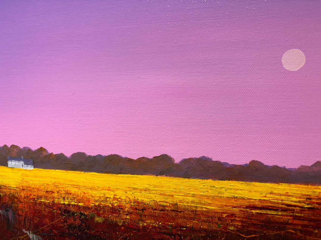 The Luminescence by Barry Hilton