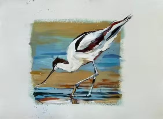 A Debbie Boon Study the title is Avocet Study II