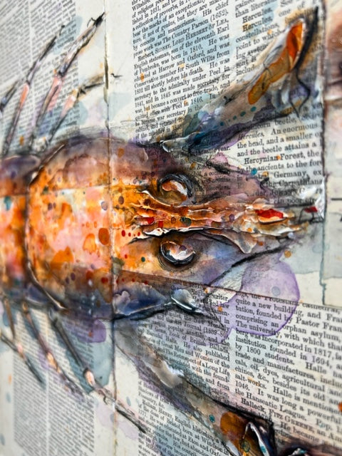 Red Langoustine by Giles Ward