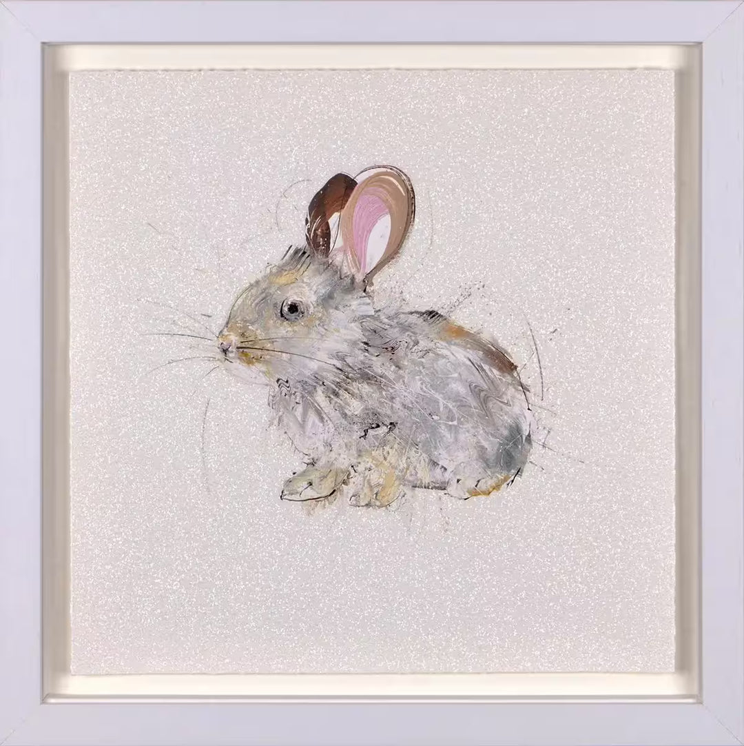 Little Bun by Dave White