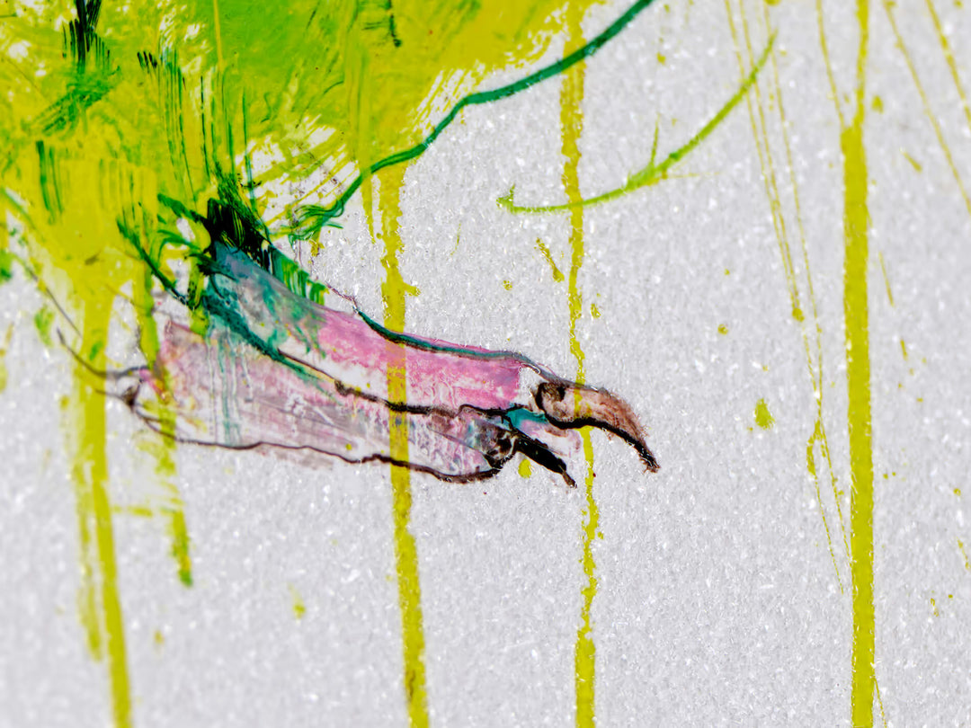 Love Birds by Dave White