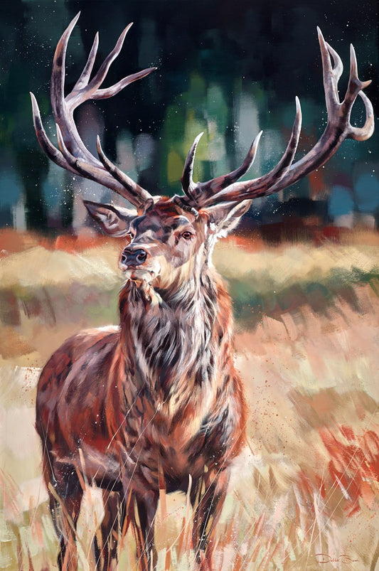 Majestic Stag by Debbie Boon
