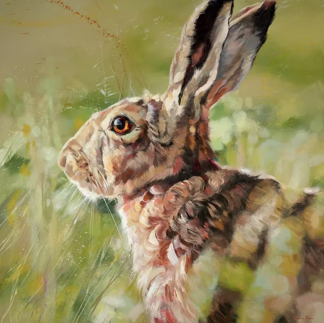 A Debbie Boon original of a hare in a meadow, the title is Meadow