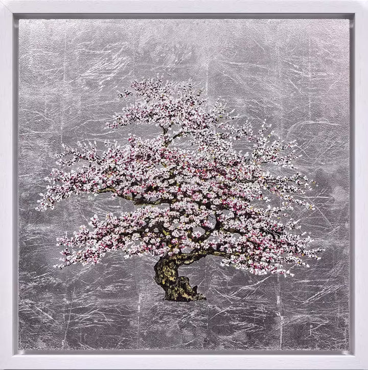 Framed artwork of a cherry blossom tree with pink flowers on a textured gray background, Moonlight by Jack Frame