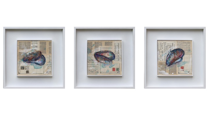 Mussel Shell Triptych by Giles Ward