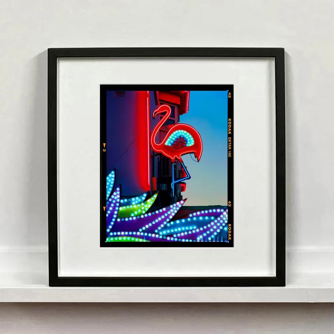 A framed limited edition photograph by Richard Heeps using vibrant colours, the title is Neon Flamingo, Norfolk, 2022