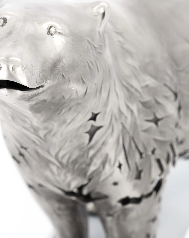 Northern Lights by Dean Kendrick