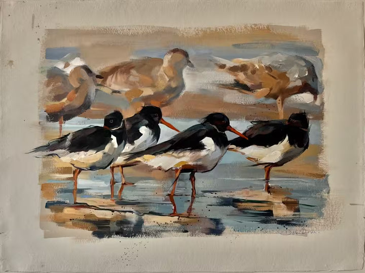 A Debbie Boon study the title is Oyster Catchers and Gulls Study