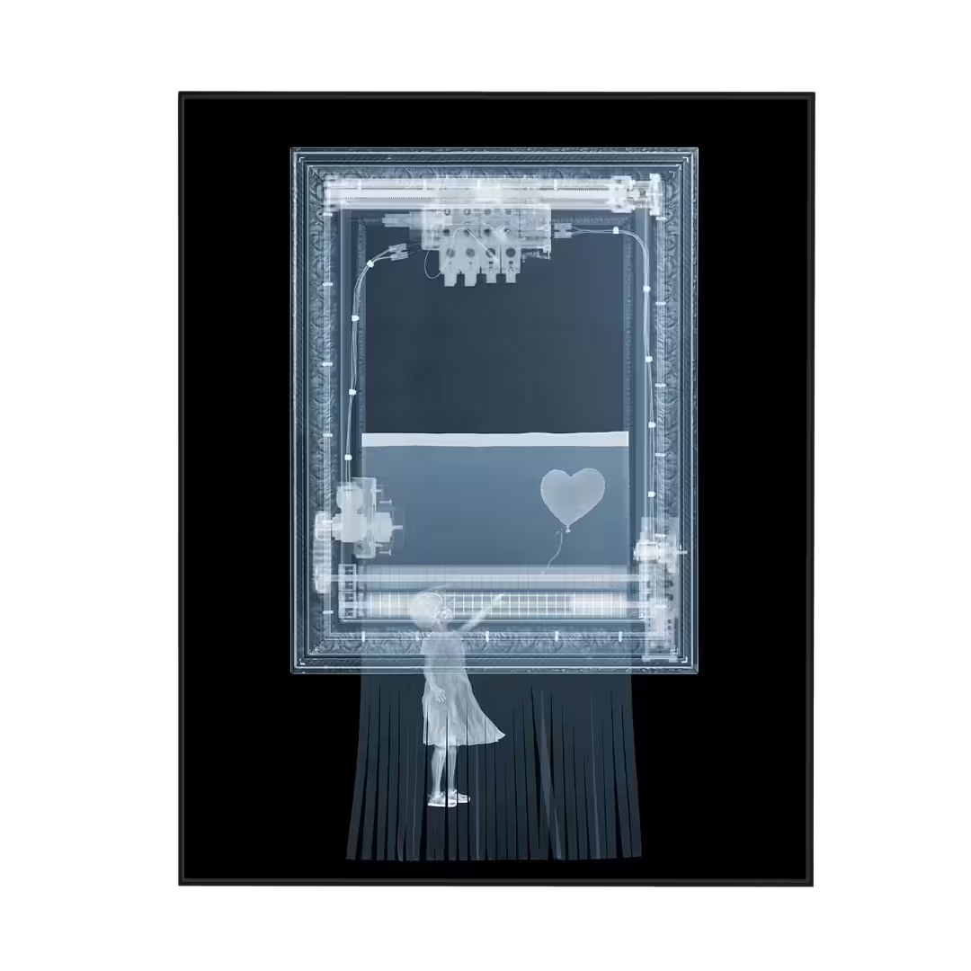 Nick Veasey BanXsy After framed