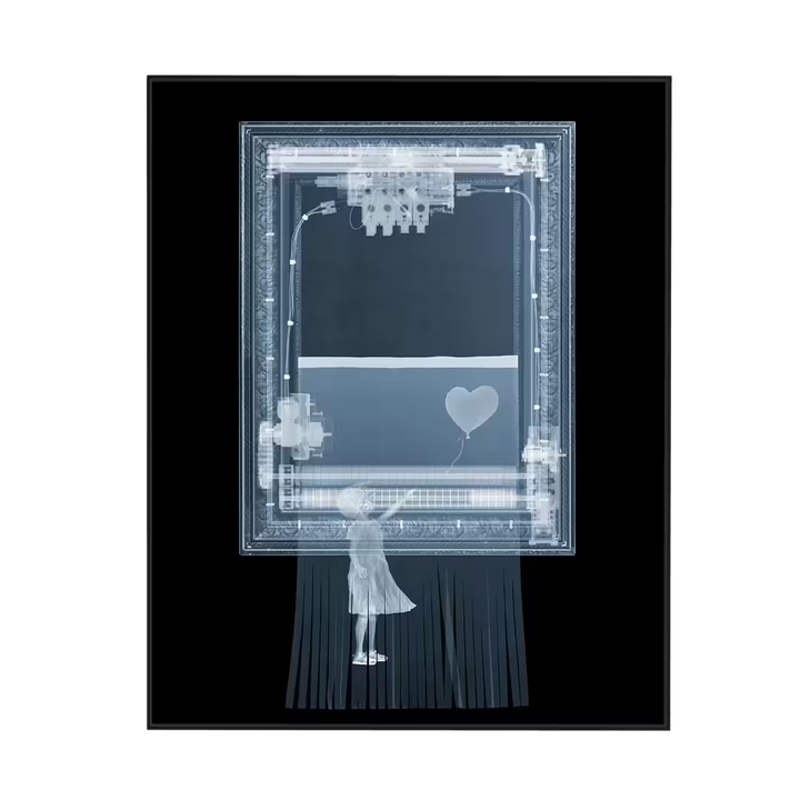 Nick Veasey BanXsy After framed