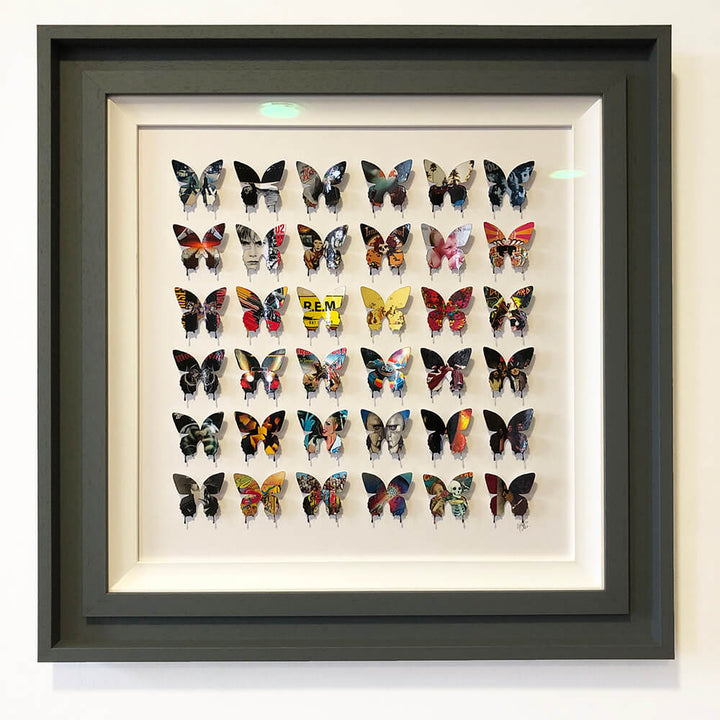 Rock ‘N’ Roll Butterflies by Gareth Tristan Evans