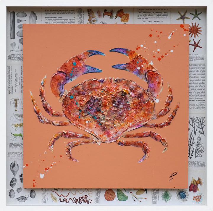 A Giles Ward original of a crab, the title is Rock Pool Crab