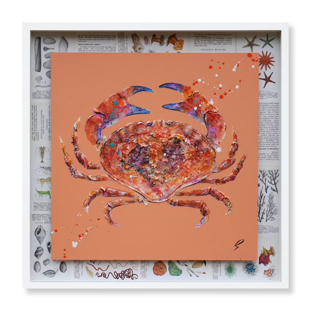 A Giles Ward original of a crab, the title is Rock Pool Crab