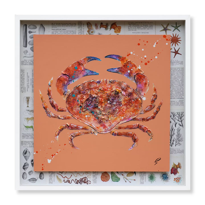 A Giles Ward original of a crab, the title is Rock Pool Crab
