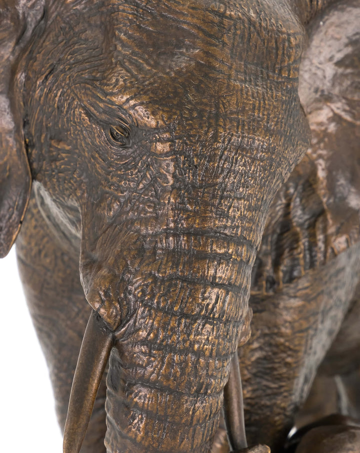 Savannah Dawn by Dean Kendrick