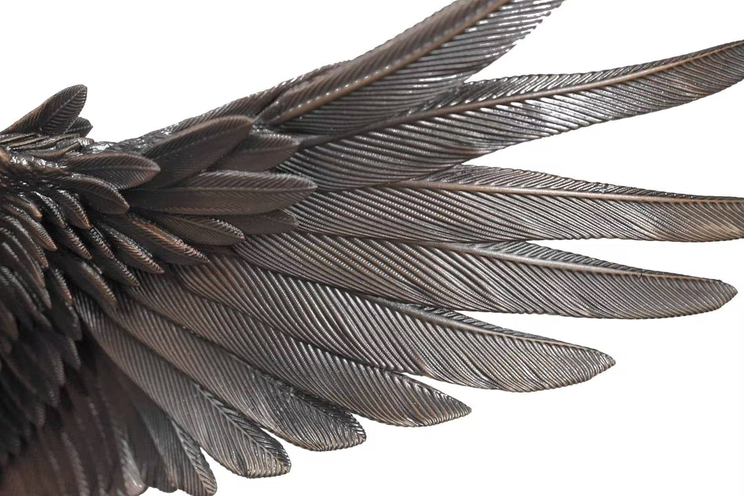 Close-up of a bird's wing with detailed feathers on a white background, Sky Bound by Dean Kendrick