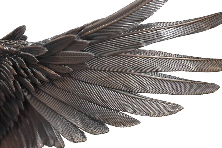 Close-up of a bird's wing with detailed feathers on a white background, Sky Bound by Dean Kendrick