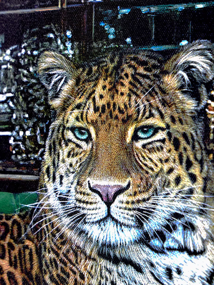 Stay Wild by Steve Tandy