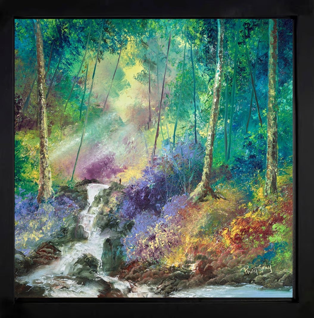 Sunlight through the Trees II by Philip Gray