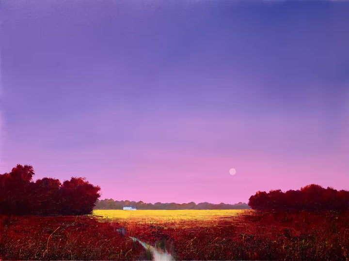 The Luminescence by Barry Hilton