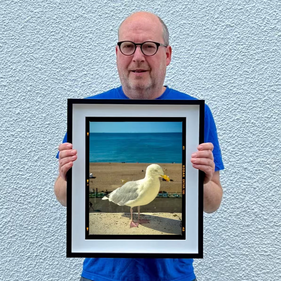 Richard Heeps The Queens Seagull