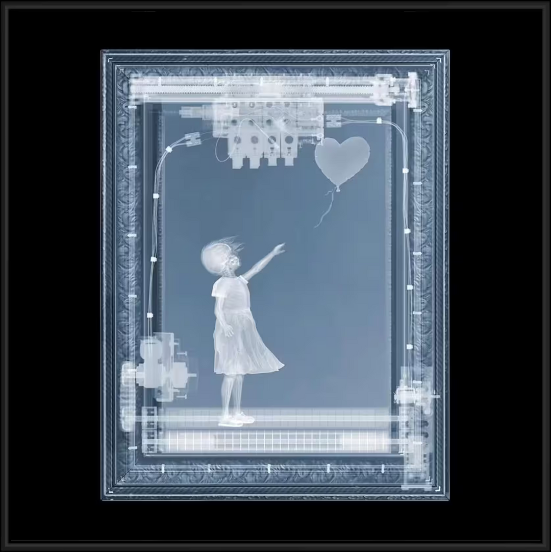 Nick Veasey BanXsy before framed