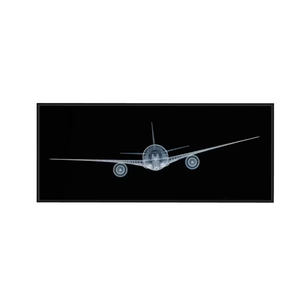 Nick Veasey Veasey Jet Framed