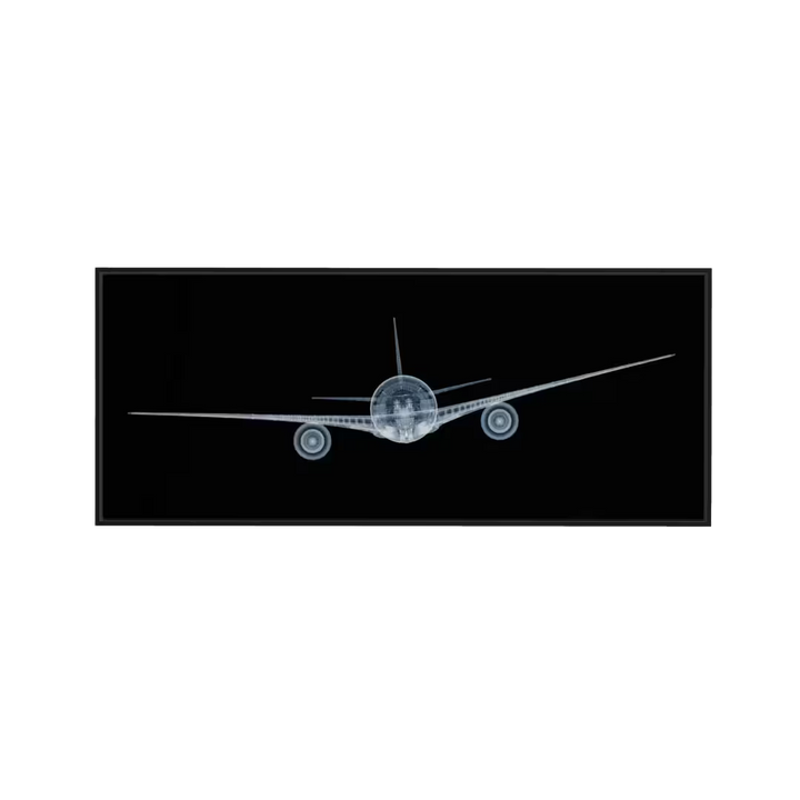 Nick Veasey Veasey Jet Framed