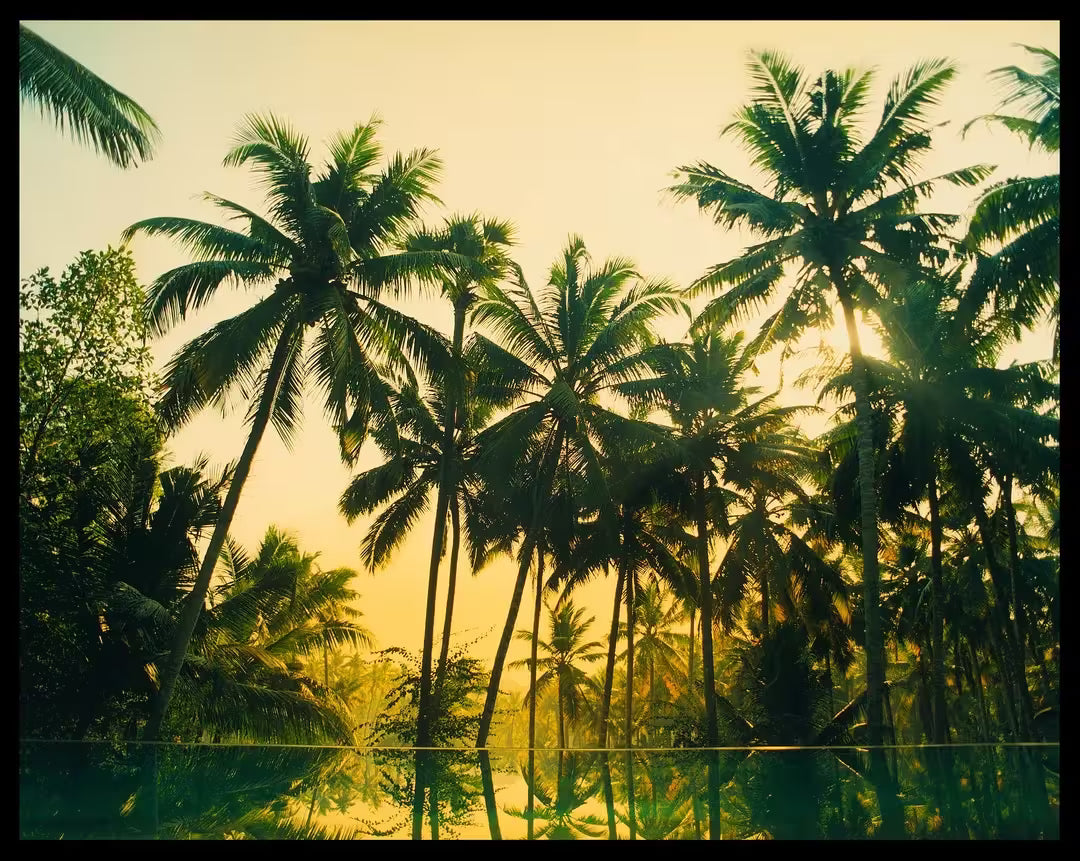 A limited edition photograph by Richard Heeps using vibrant colours, the title is Vetyver Pool, Poovar, Kerala, 2013