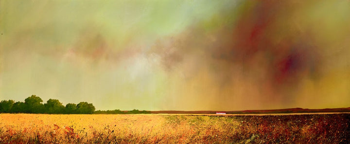 Where Shadows and Light Dance by Barry Hilton