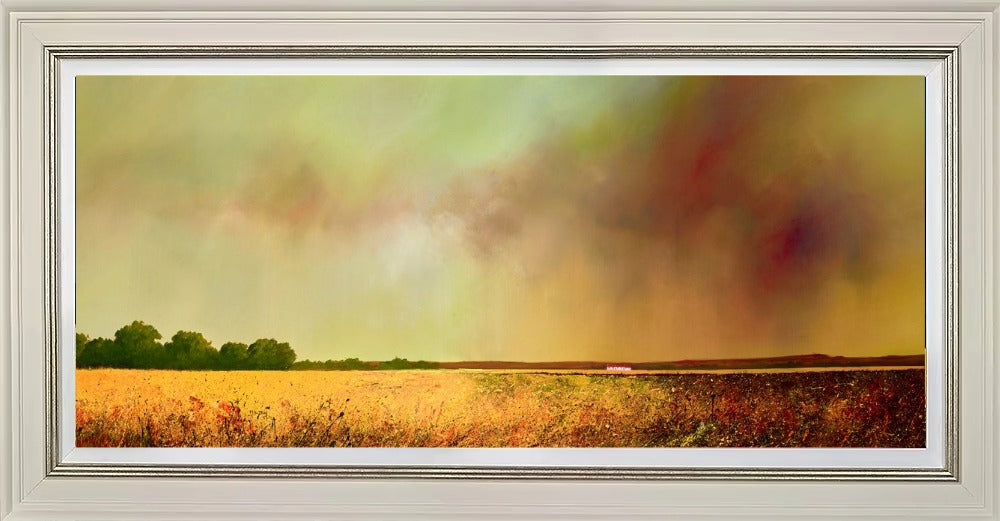 Where Shadows and Light Dance by Barry Hilton