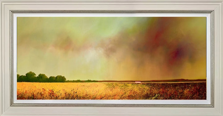 Where Shadows and Light Dance by Barry Hilton