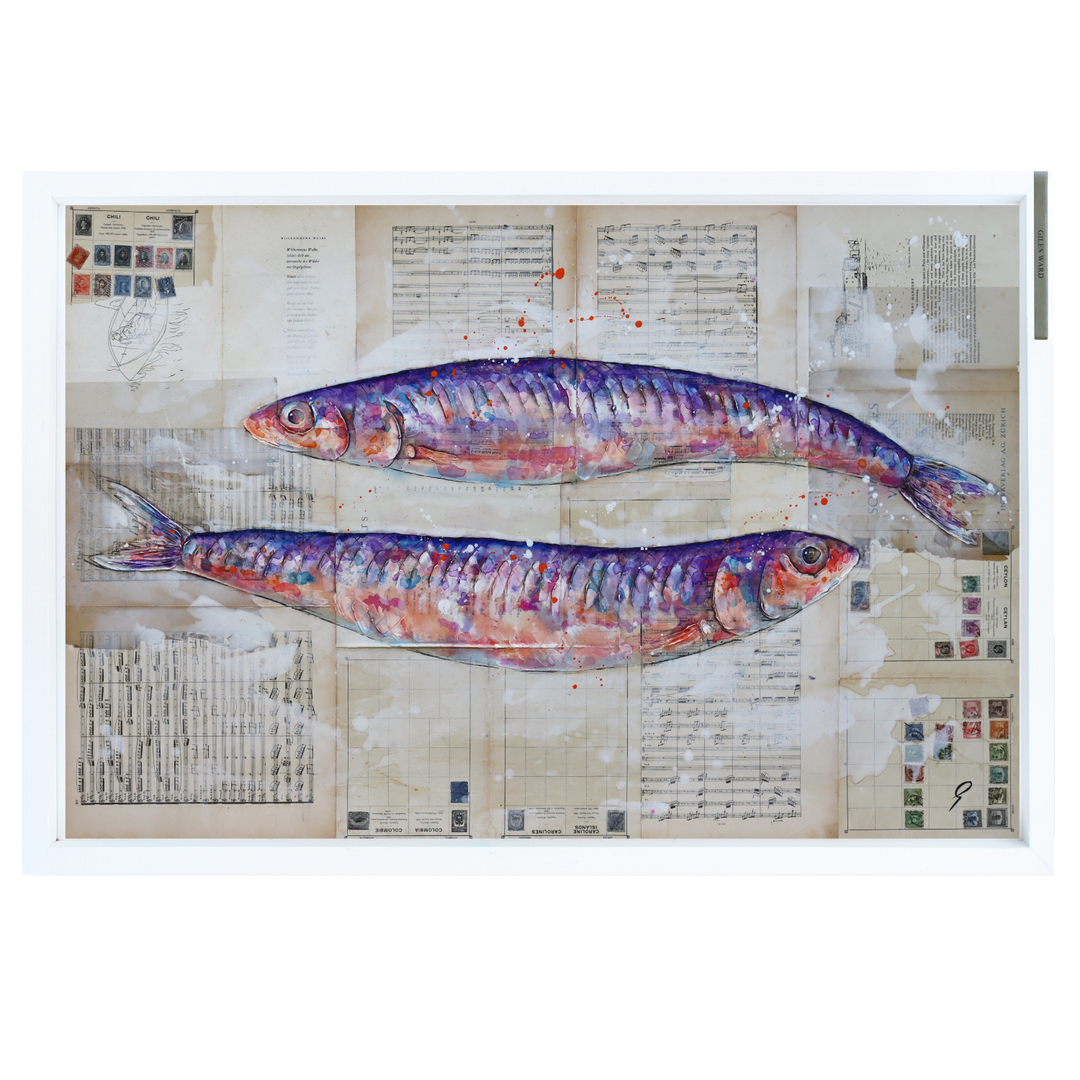 Anchovy Colour by Giles Ward