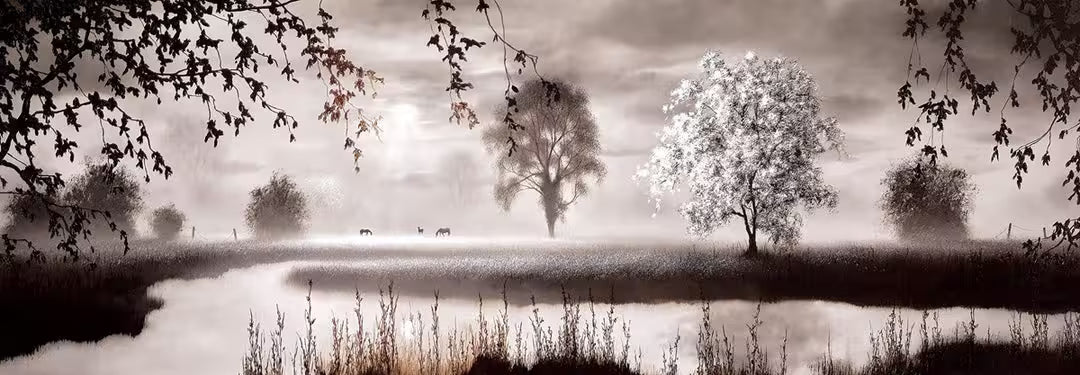 A John Waterhouse limited edition of a misty lake with a tree and deers foraging, the title is Explorations