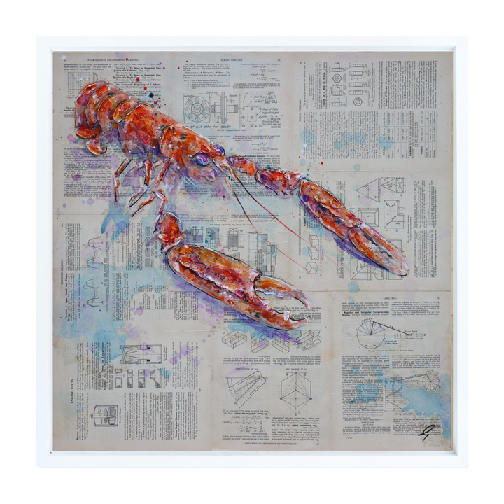 Langoustine Design by Giles Ward available at Startle