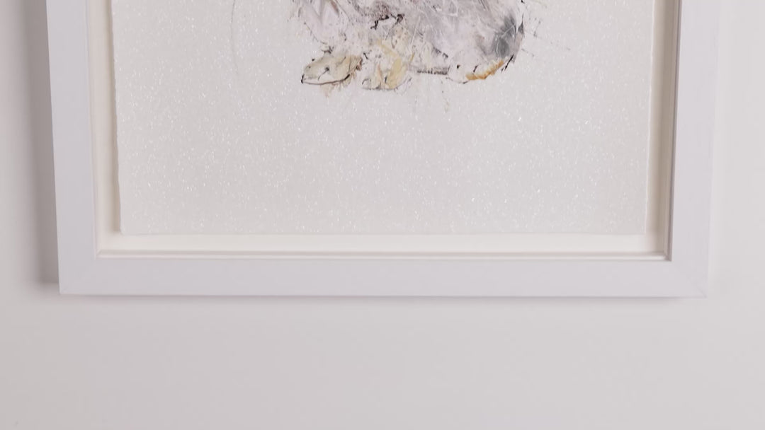 Little Bun by Dave White
