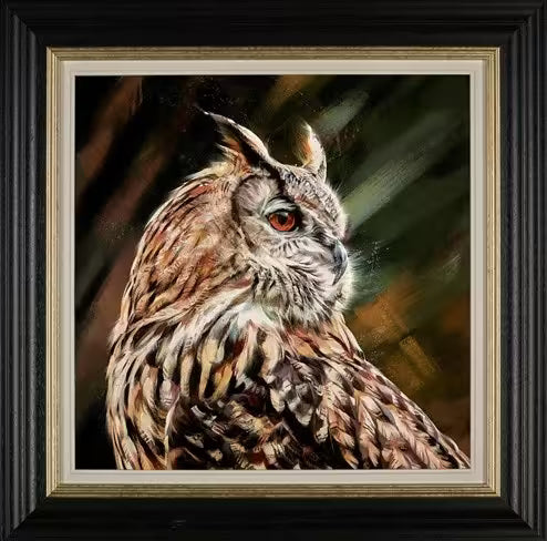 A Debbie Boon framed limited edition of an owl , the title is The Scholar