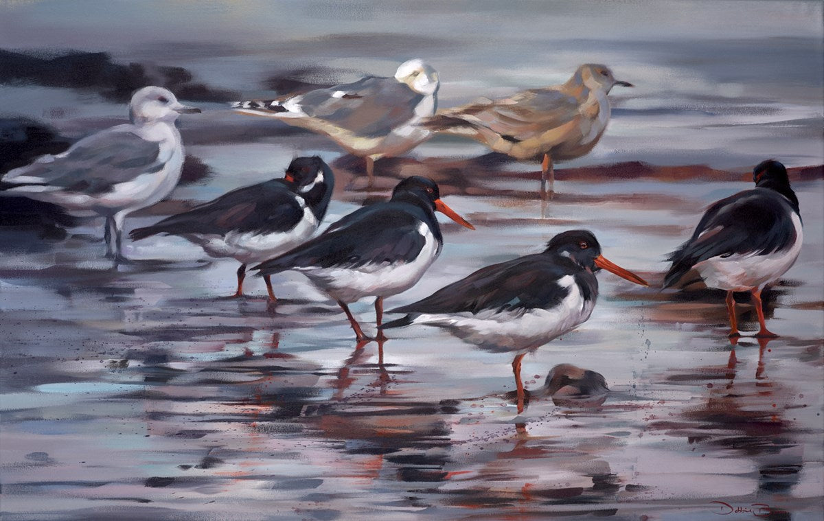 Oystercatchers by Debbie Boon